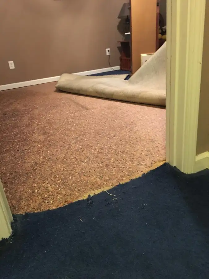 Carpet pad removal revealing water damage during Drying & Dehumidification in Miami Springs